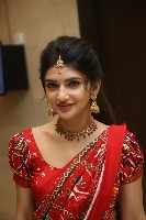 Sreeleela Half Saree Photos